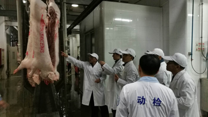 广州市动物卫生监督所组织前往深圳、东莞学习牲畜屠宰检疫先进经验